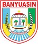 Kabupaten Banyuasin