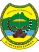 Kabupaten Lingga